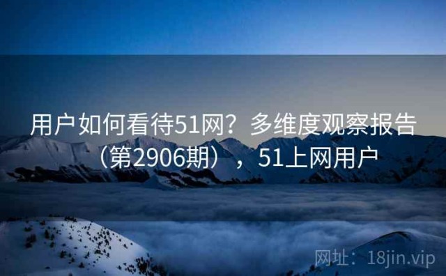 用户如何看待51网？多维度观察报告（第2906期），51上网用户
