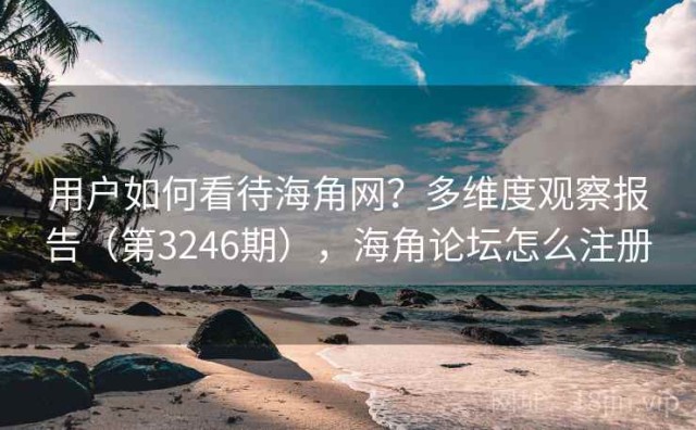 用户如何看待海角网？多维度观察报告（第3246期），海角论坛怎么注册