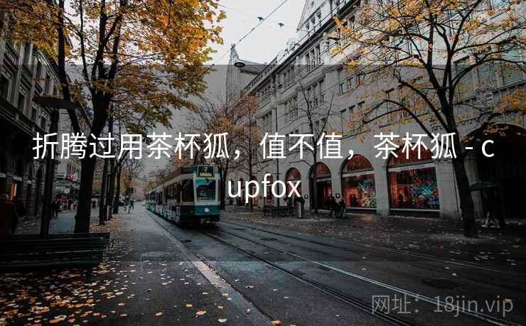 折腾过用茶杯狐，值不值，茶杯狐 - cupfox