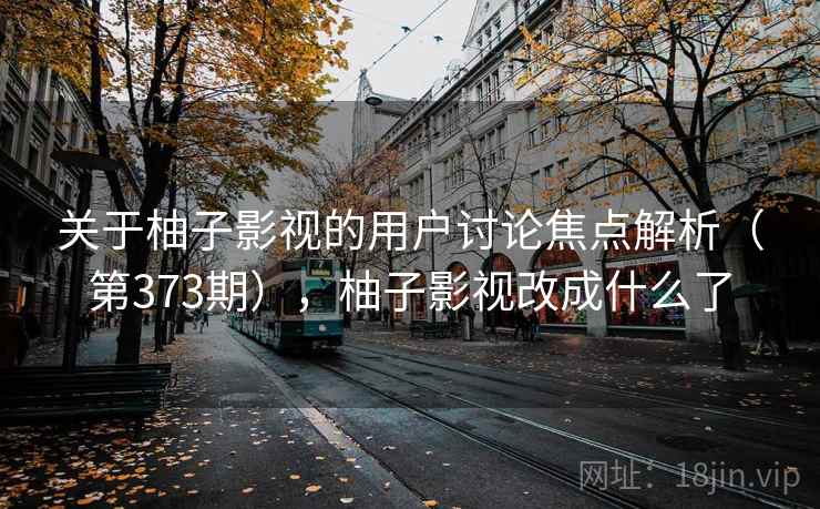 关于柚子影视的用户讨论焦点解析（第373期），柚子影视改成什么了